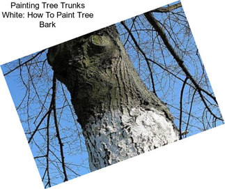 Painting Tree Trunks White: How To Paint Tree Bark