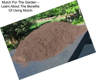 Mulch For The Garden – Learn About The Benefits Of Using Mulch