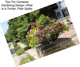 Tips For Container Gardening Design: What Is A Thriller, Filler Spiller