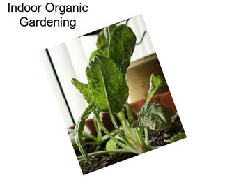 Indoor Organic Gardening