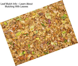 Leaf Mulch Info – Learn About Mulching With Leaves