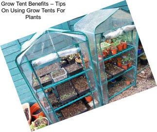 Grow Tent Benefits – Tips On Using Grow Tents For Plants