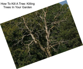 How To Kill A Tree: Killing Trees In Your Garden
