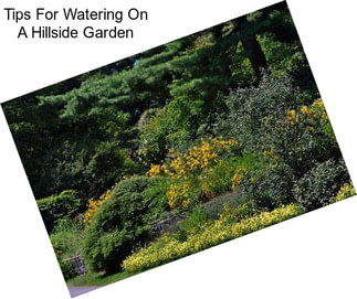 Tips For Watering On A Hillside Garden