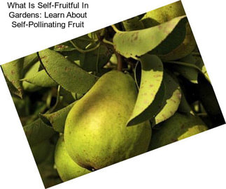 What Is Self-Fruitful In Gardens: Learn About Self-Pollinating Fruit