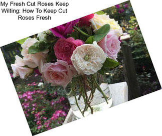 My Fresh Cut Roses Keep Wilting: How To Keep Cut Roses Fresh