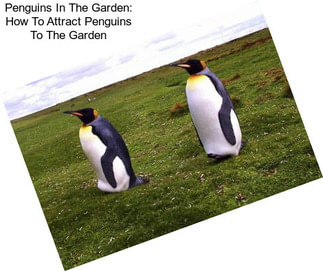 Penguins In The Garden: How To Attract Penguins To The Garden