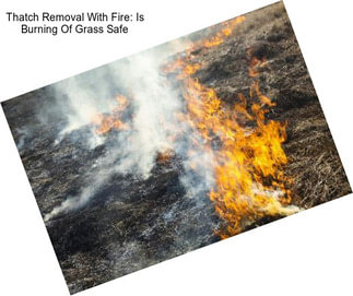 Thatch Removal With Fire: Is Burning Of Grass Safe