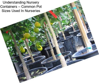 Understanding Nursery Containers – Common Pot Sizes Used In Nurseries