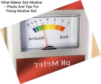 What Makes Soil Alkaline – Plants And Tips For Fixing Alkaline Soil