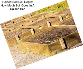 Raised Bed Soil Depth: How Much Soil Goes In A Raised Bed