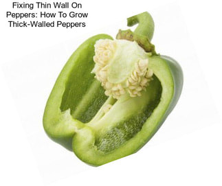 Fixing Thin Wall On Peppers: How To Grow Thick-Walled Peppers