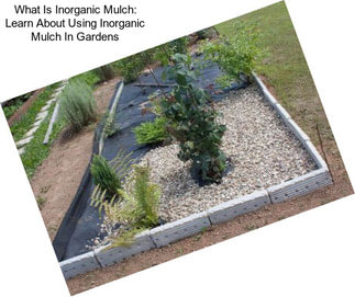 What Is Inorganic Mulch: Learn About Using Inorganic Mulch In Gardens