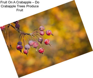 Fruit On A Crabapple – Do Crabapple Trees Produce Fruit
