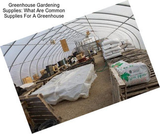 Greenhouse Gardening Supplies: What Are Common Supplies For A Greenhouse