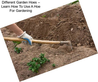 Different Garden Hoes – Learn How To Use A Hoe For Gardening