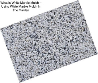 What Is White Marble Mulch – Using White Marble Mulch In The Garden