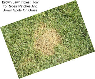 Brown Lawn Fixes: How To Repair Patches And Brown Spots On Grass