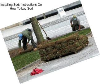 Installing Sod: Instructions On How To Lay Sod