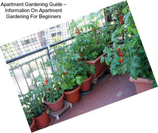 Apartment Gardening Guide – Information On Apartment Gardening For Beginners