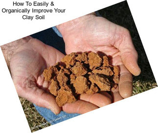 How To Easily & Organically Improve Your Clay Soil