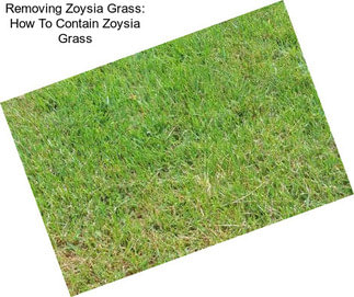 Removing Zoysia Grass: How To Contain Zoysia Grass
