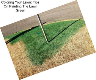 Coloring Your Lawn: Tips On Painting The Lawn Green