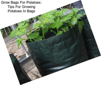 Grow Bags For Potatoes: Tips For Growing Potatoes In Bags