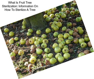 What Is Fruit Tree Sterilization: Information On How To Sterilize A Tree