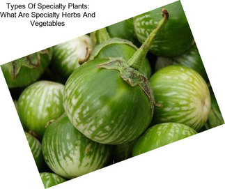 Types Of Specialty Plants: What Are Specialty Herbs And Vegetables