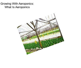 Growing With Aeroponics: What Is Aeroponics
