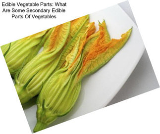 Edible Vegetable Parts: What Are Some Secondary Edible Parts Of Vegetables