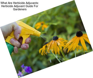 What Are Herbicide Adjuvants: Herbicide Adjuvant Guide For Gardeners