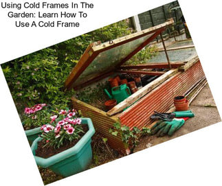 Using Cold Frames In The Garden: Learn How To Use A Cold Frame