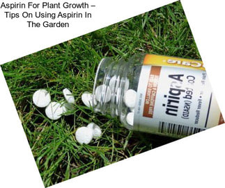 Aspirin For Plant Growth – Tips On Using Aspirin In The Garden