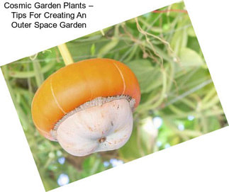 Cosmic Garden Plants – Tips For Creating An Outer Space Garden
