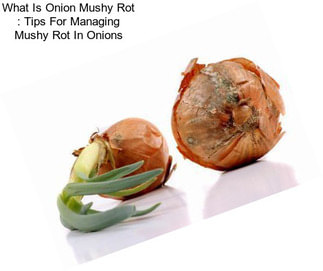 What Is Onion Mushy Rot : Tips For Managing Mushy Rot In Onions