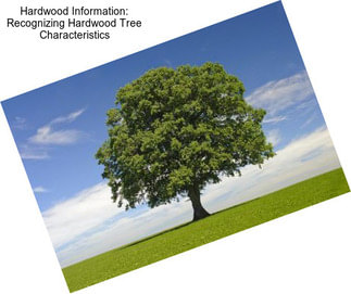 Hardwood Information: Recognizing Hardwood Tree Characteristics