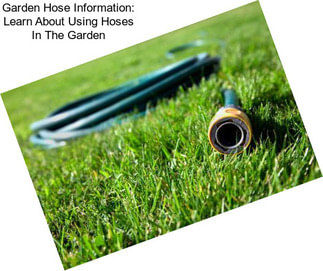 Garden Hose Information: Learn About Using Hoses In The Garden