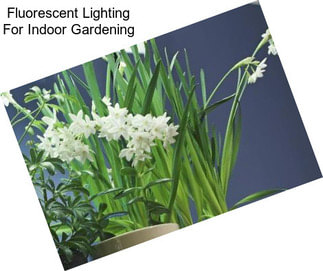 Fluorescent Lighting For Indoor Gardening