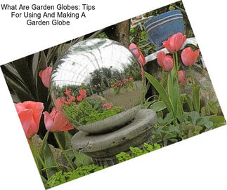 What Are Garden Globes: Tips For Using And Making A Garden Globe