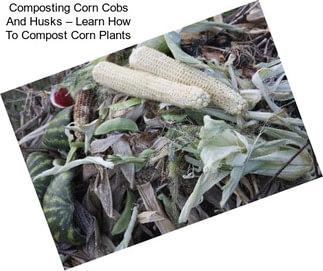 Composting Corn Cobs And Husks – Learn How To Compost Corn Plants