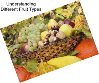 Understanding Different Fruit Types