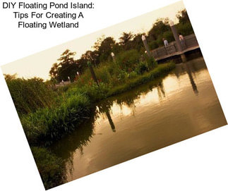 DIY Floating Pond Island: Tips For Creating A Floating Wetland