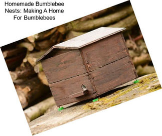Homemade Bumblebee Nests: Making A Home For Bumblebees