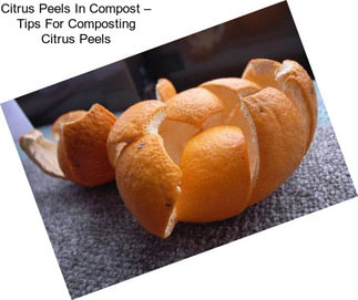 Citrus Peels In Compost – Tips For Composting Citrus Peels