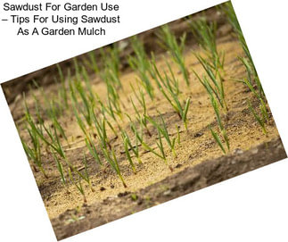 Sawdust For Garden Use – Tips For Using Sawdust As A Garden Mulch