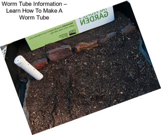 Worm Tube Information – Learn How To Make A Worm Tube