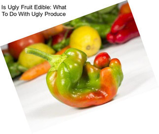 Is Ugly Fruit Edible: What To Do With Ugly Produce