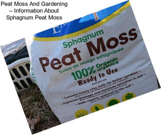 Peat Moss And Gardening – Information About Sphagnum Peat Moss